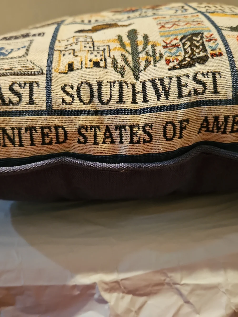 Regional U.S. Map Tapestry Accent Pillow - Multi Beige